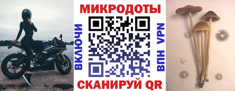 Купить  Курильск  Галлюциногенные грибы Cubensis 