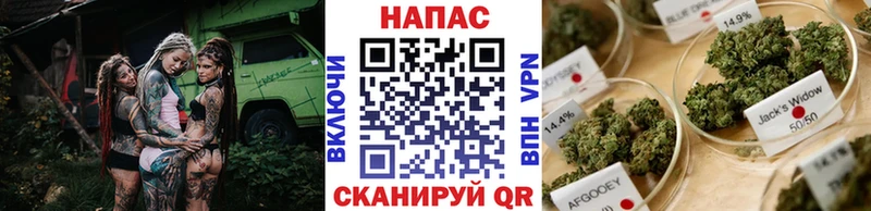 Купить  Курильск  МАРИХУАНА Amnesia 